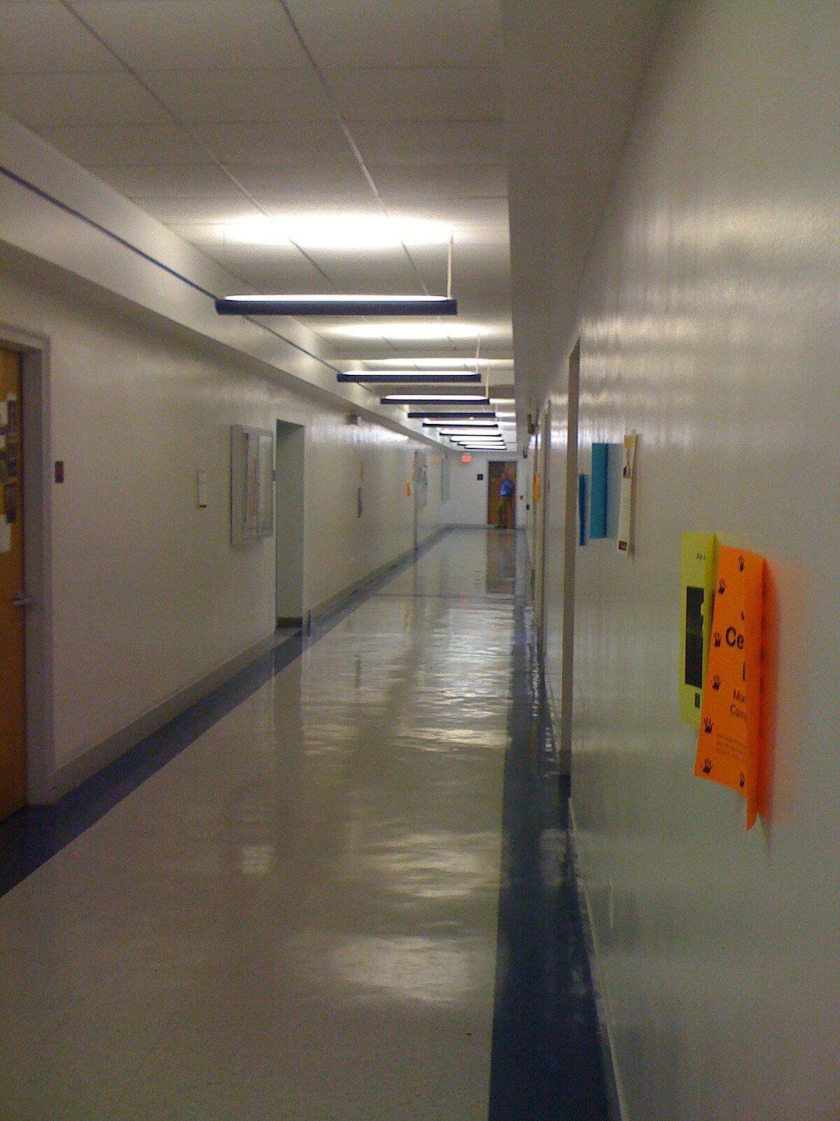 Adelphi University Graduation