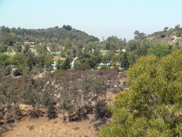 American Jewish University campus