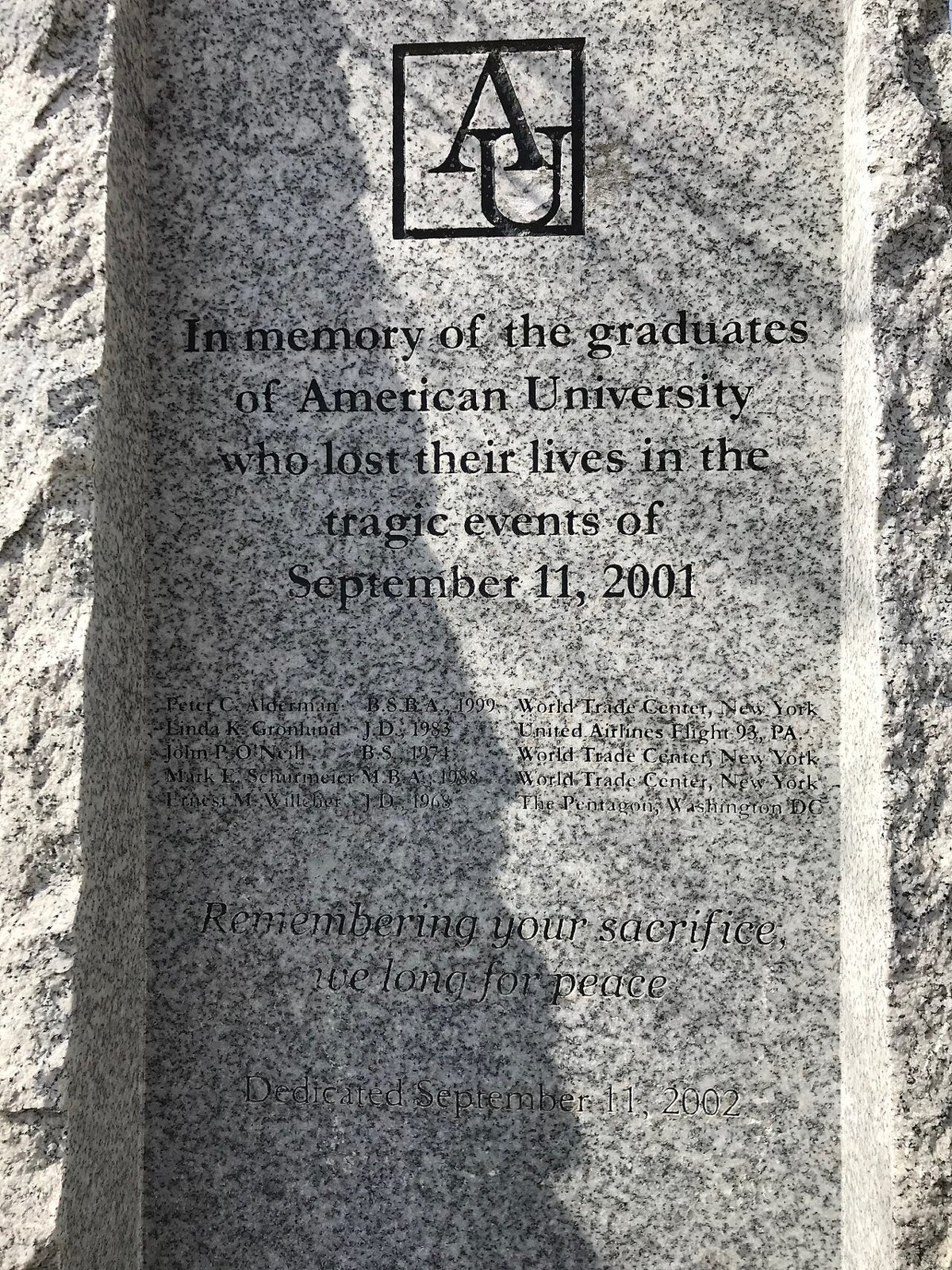 American University in