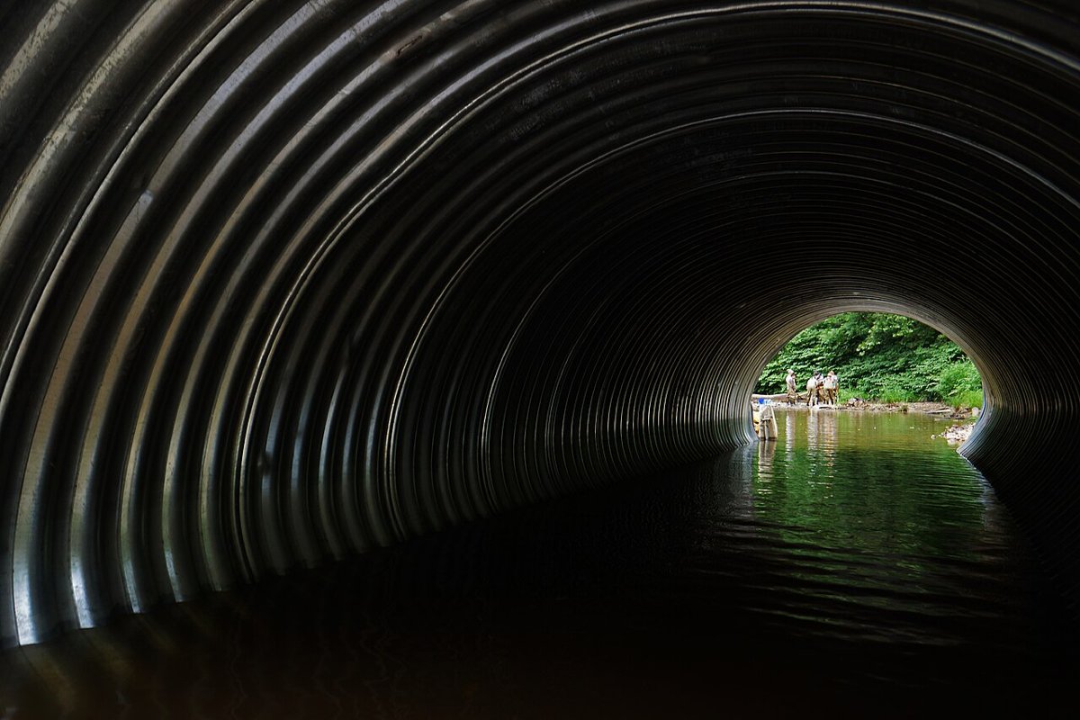 Appalachian State University