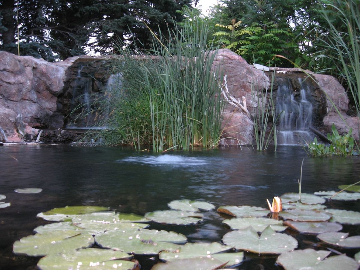 Ricks Memorial Gardens