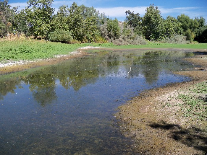 Butte college wildlife refuge
