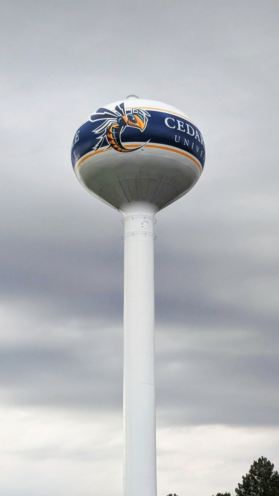 Cedarville-University-DMC-596x237