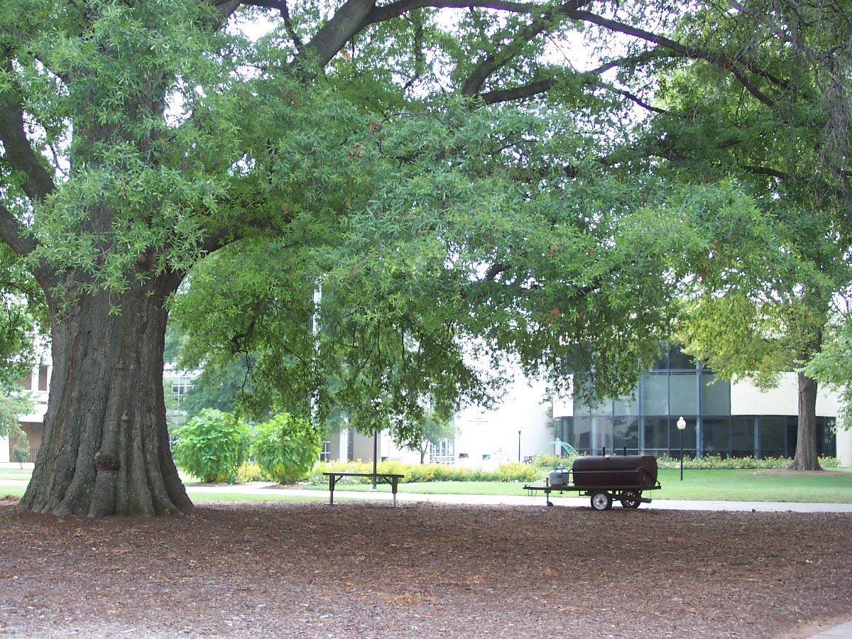 Van Every Building at CPCC