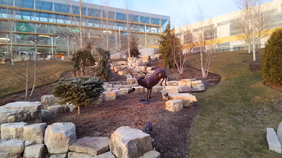 Student Services Welcome Desk