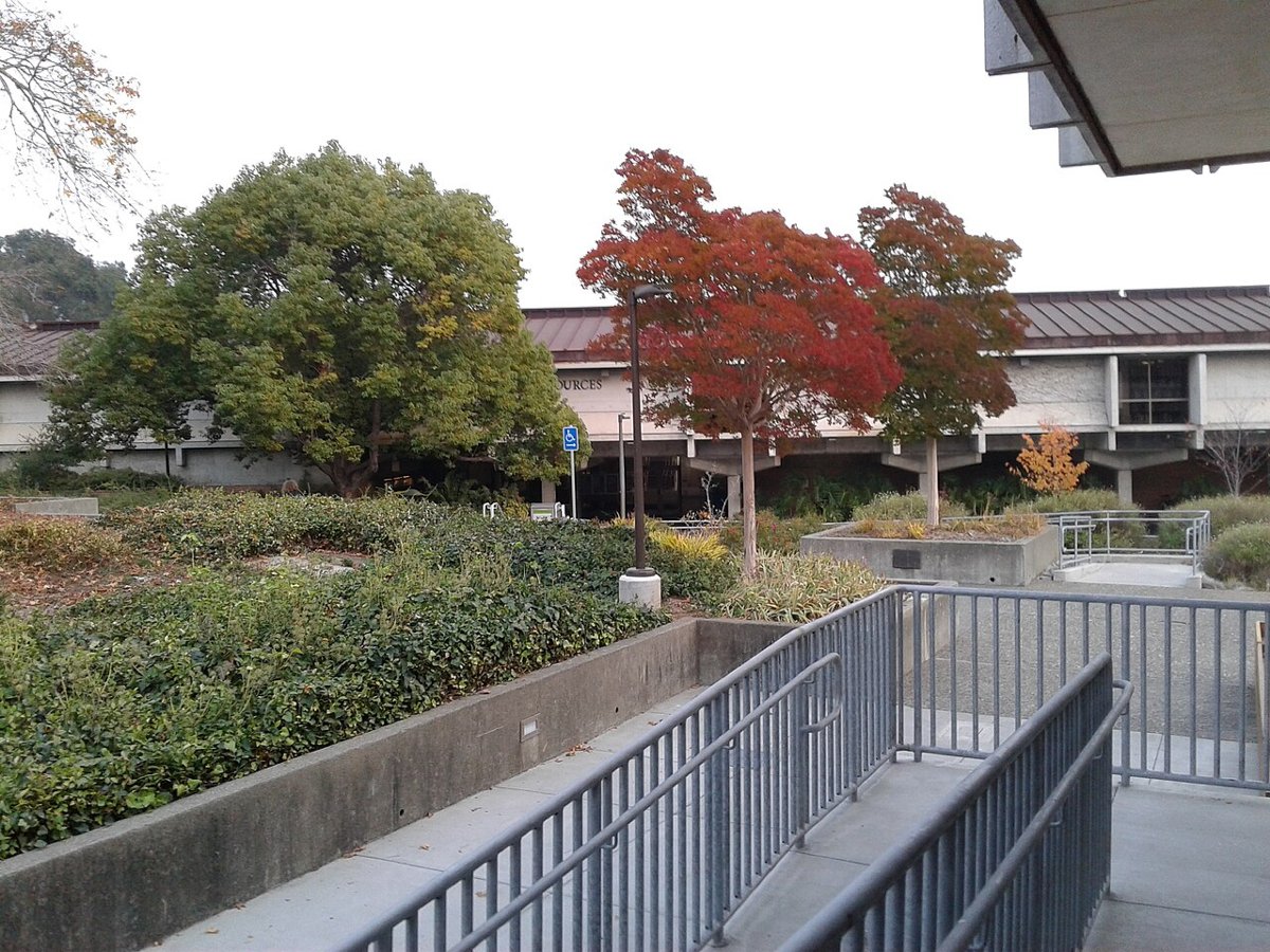 College of marin campus1