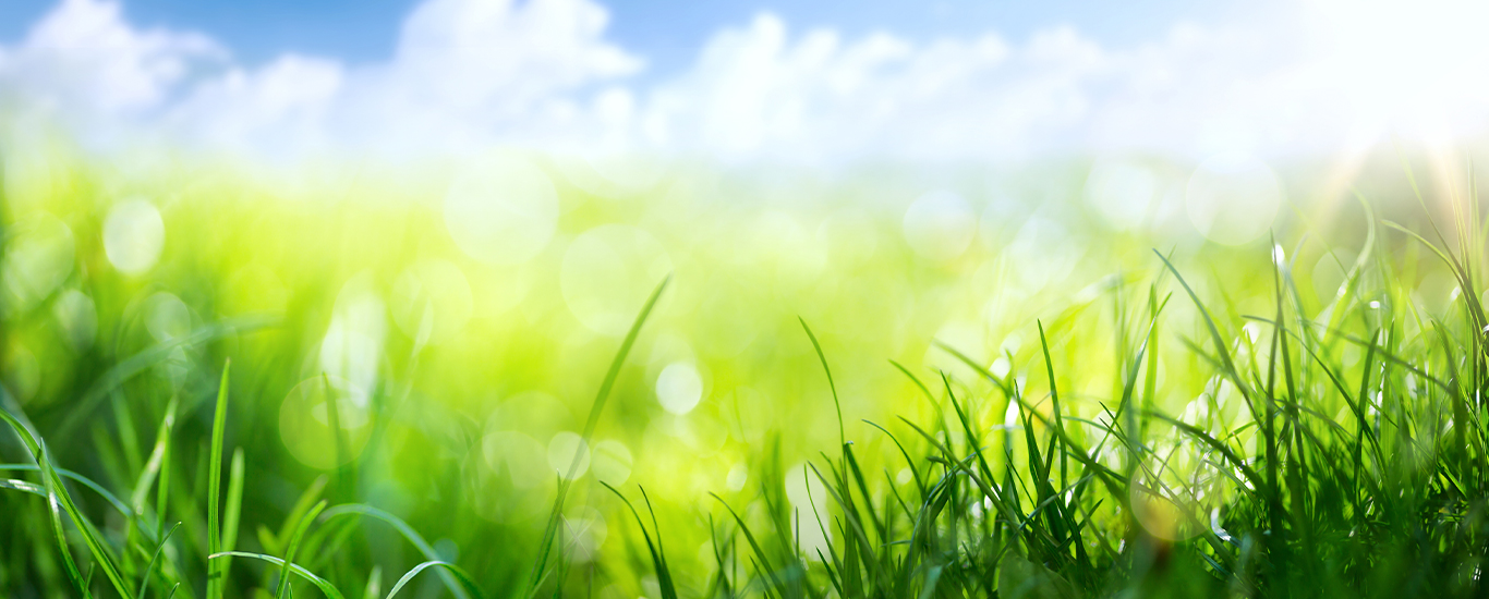 College of the Canyons campus