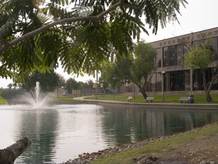 COM campus2007