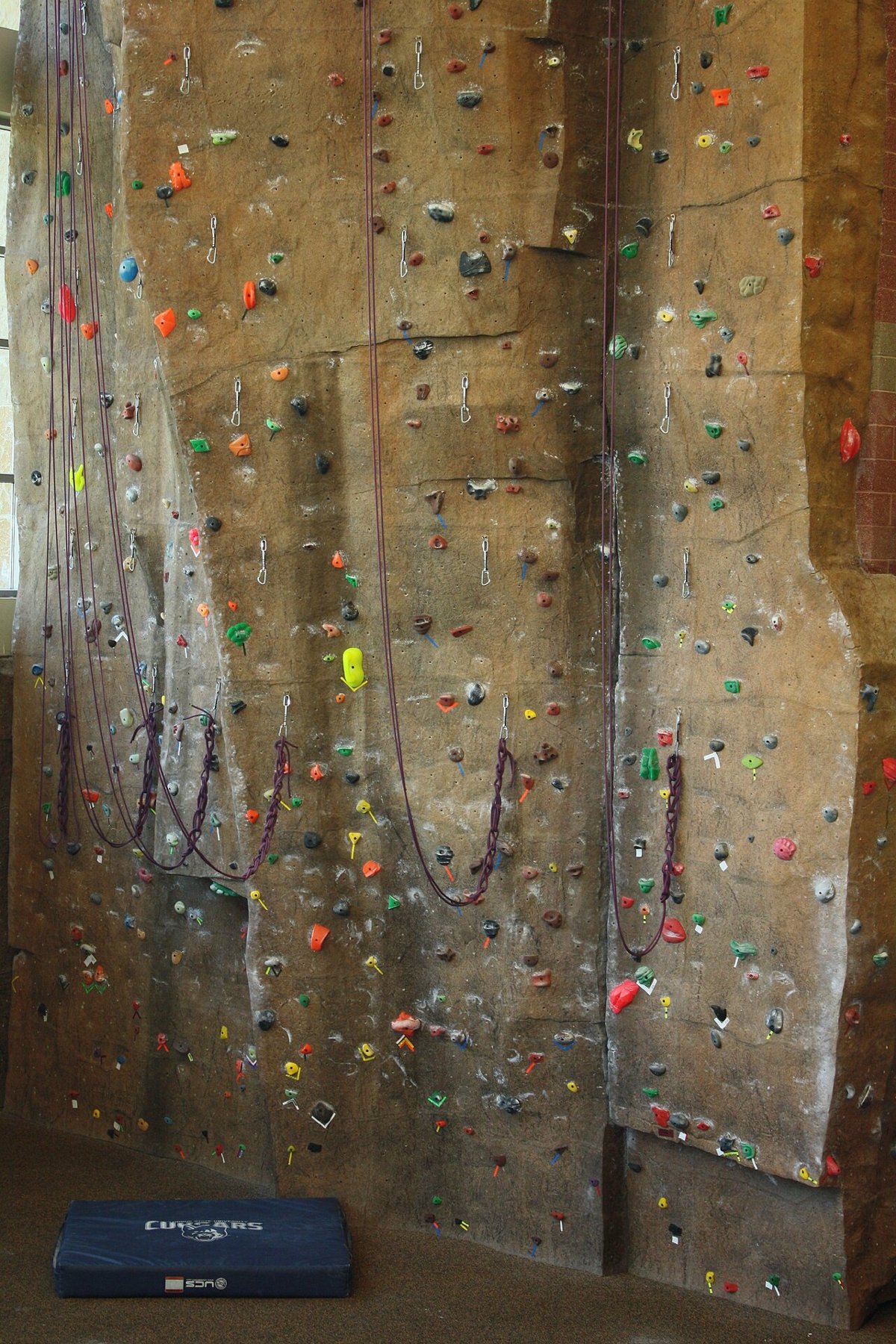 Columbus State University campus