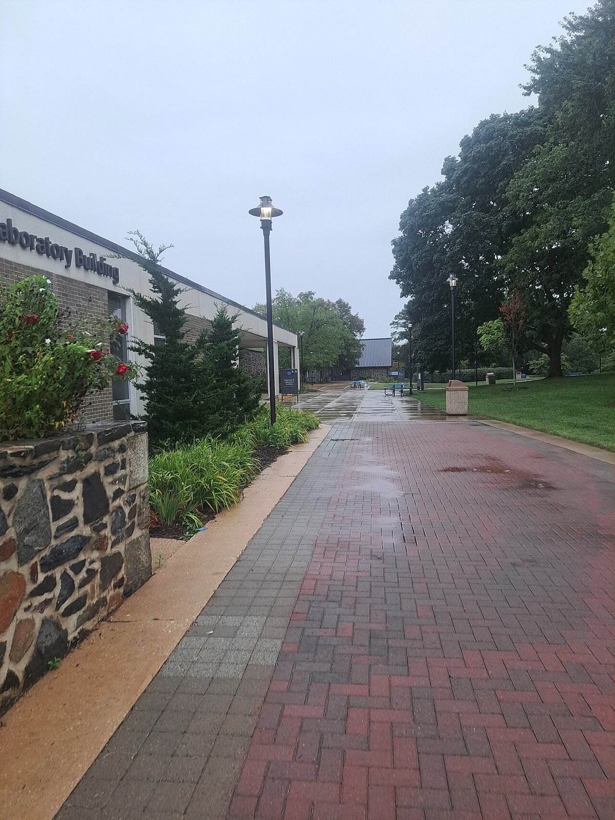 Baltimore City Hall 2