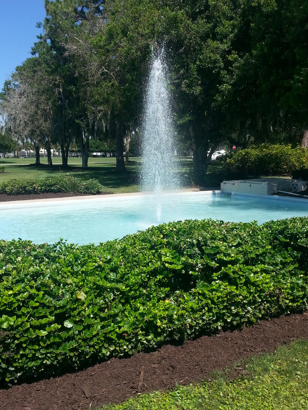 LynchFountainEckerdCollegeMay2014