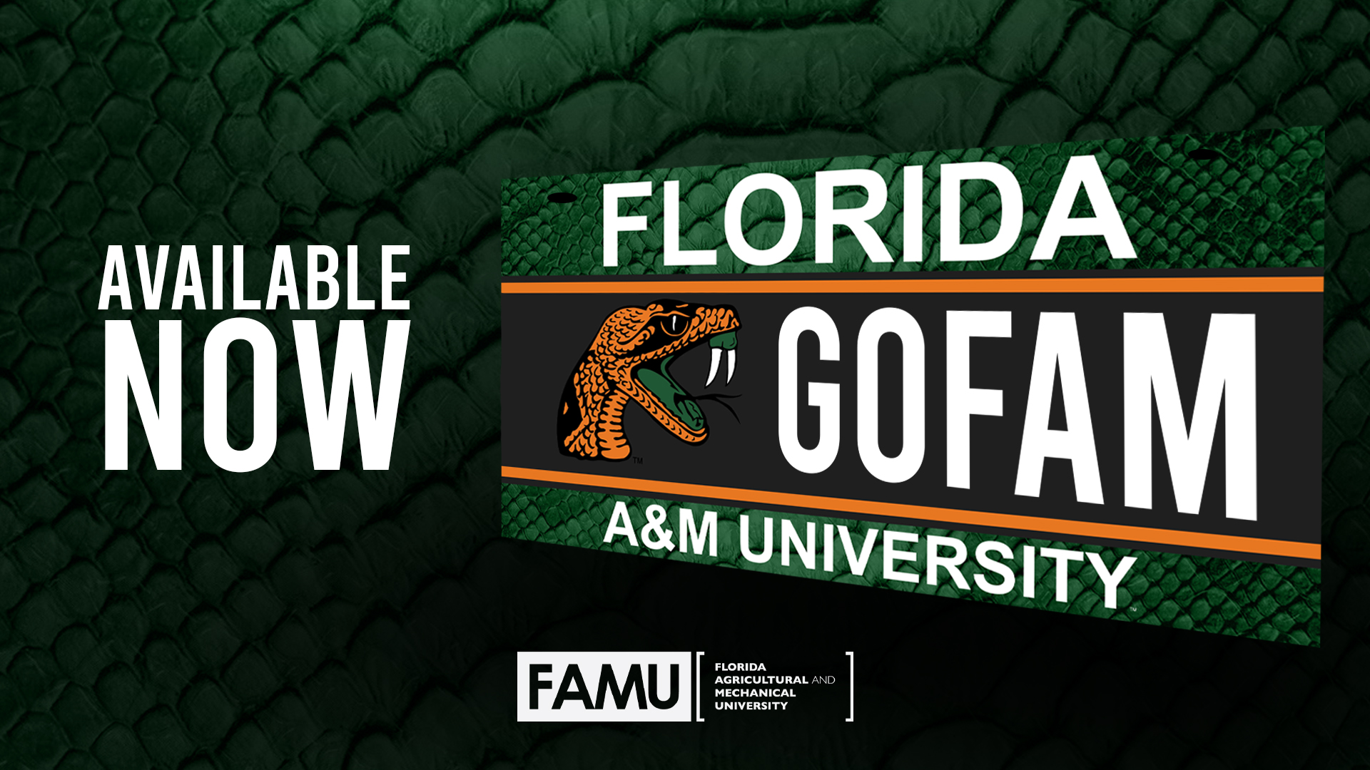 Tallahassee FL FAMU Lee Hall01