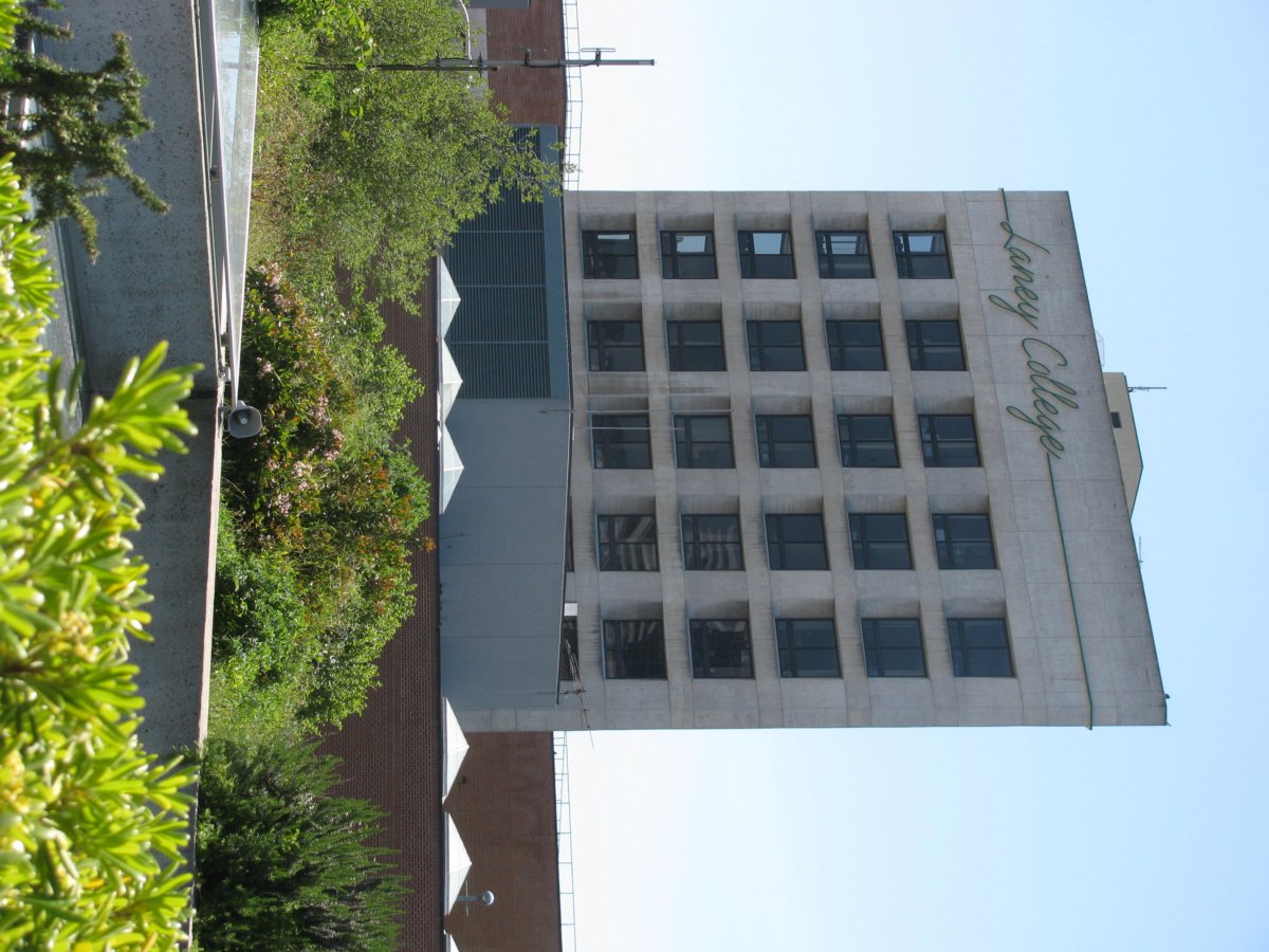 SF From Marin Highlands3