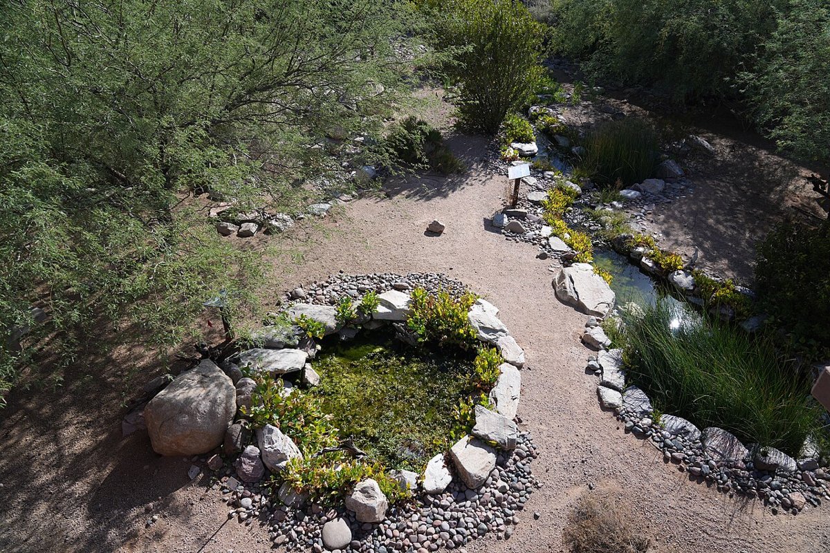 Mesa Community College, Mesa, Arizona