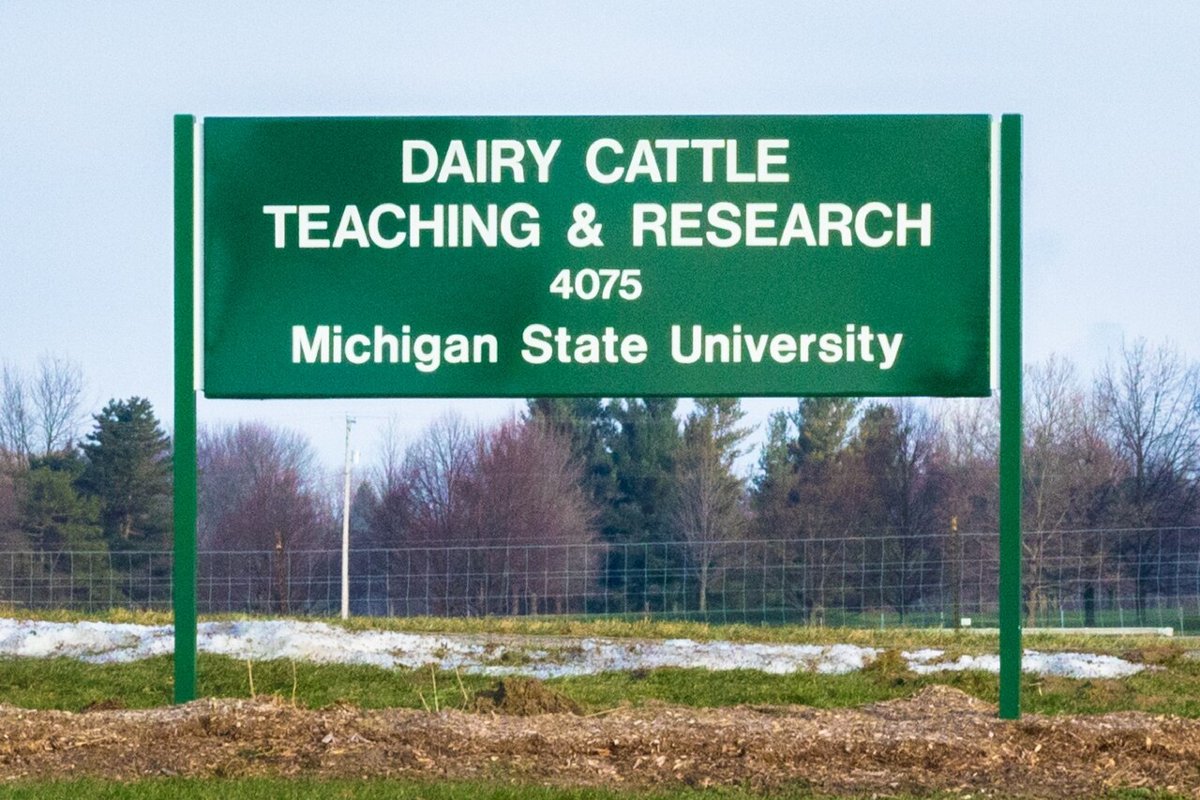 MSU Morrill Hall 1912 sepia