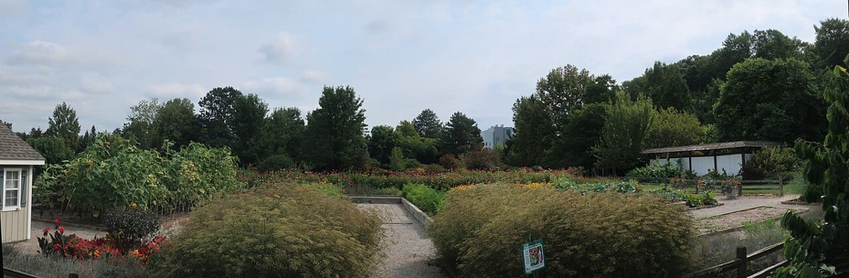 MSU Laboratory Row 1912 sepia