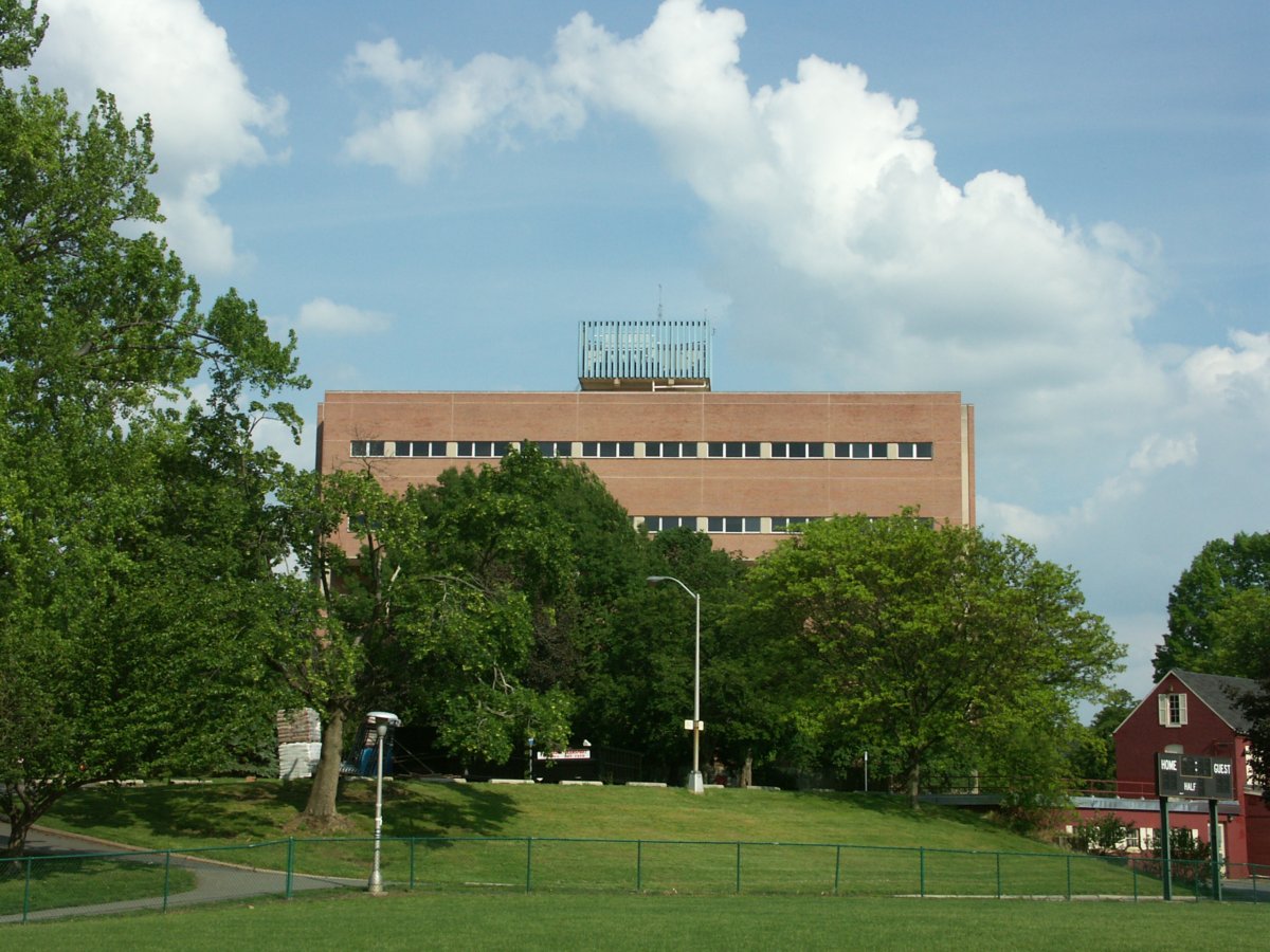 The Pond area in bloom