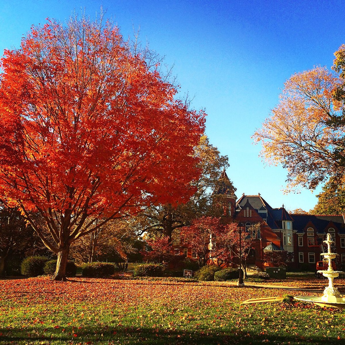 Biemesdurfer Executive