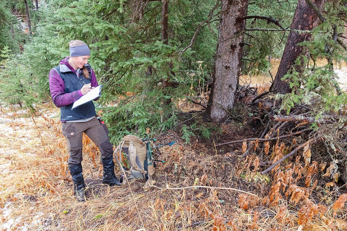 Brian Schweitzer official photo
