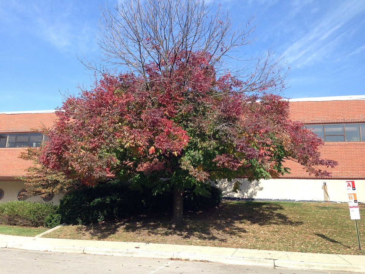 Ohio State University-Newark Campus campus