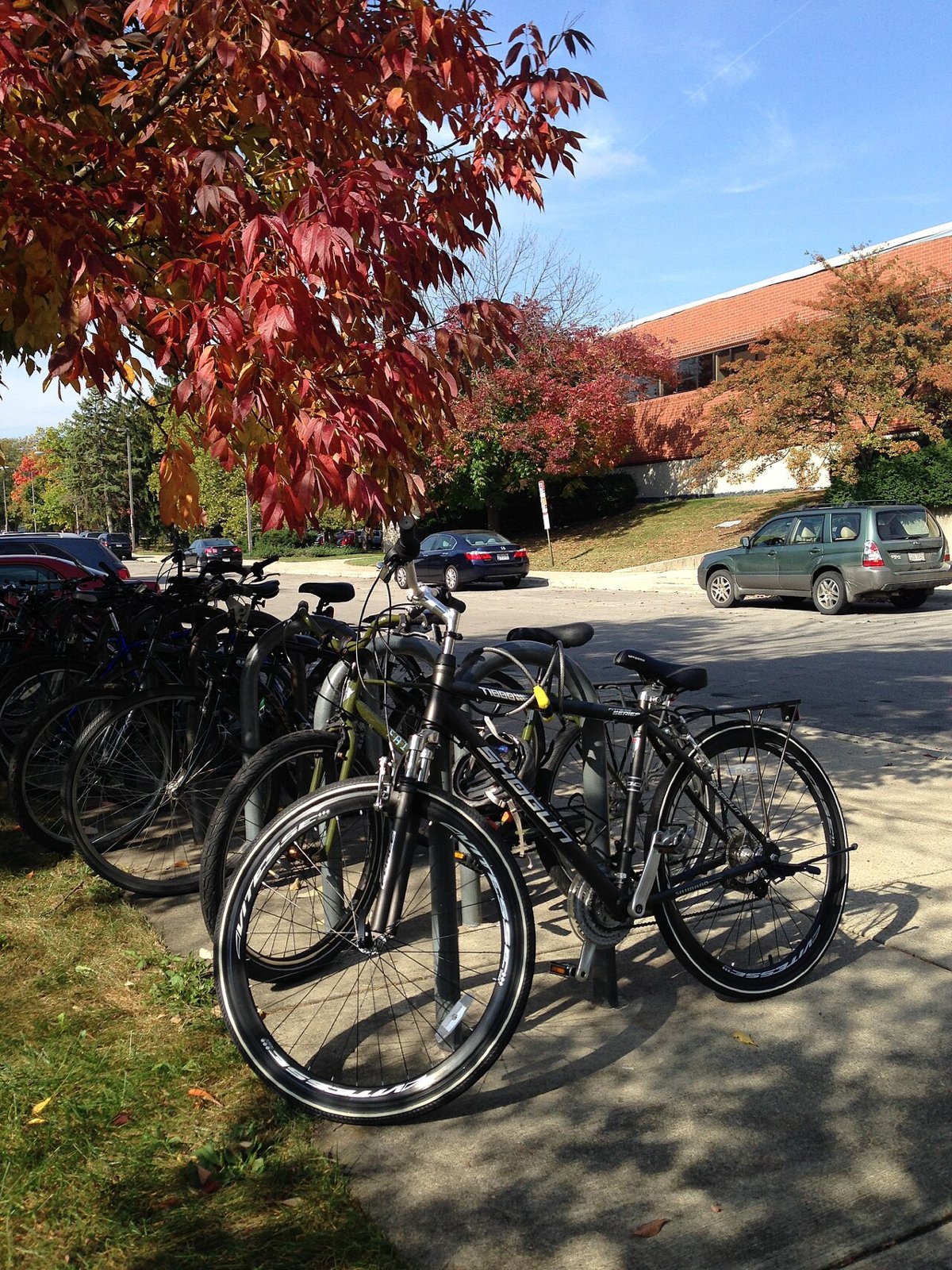 Ohio State University-Newark Campus campus