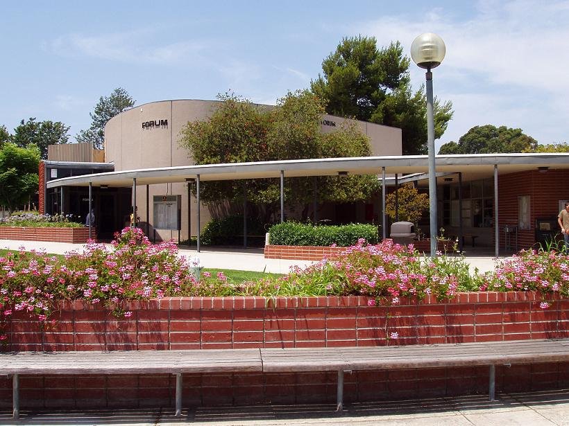 Adam DeVine Macy's Thanksgiving Parade