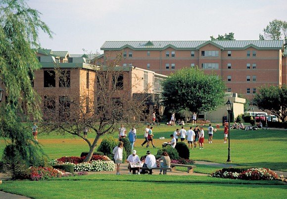 Sacred Heart Pioneers