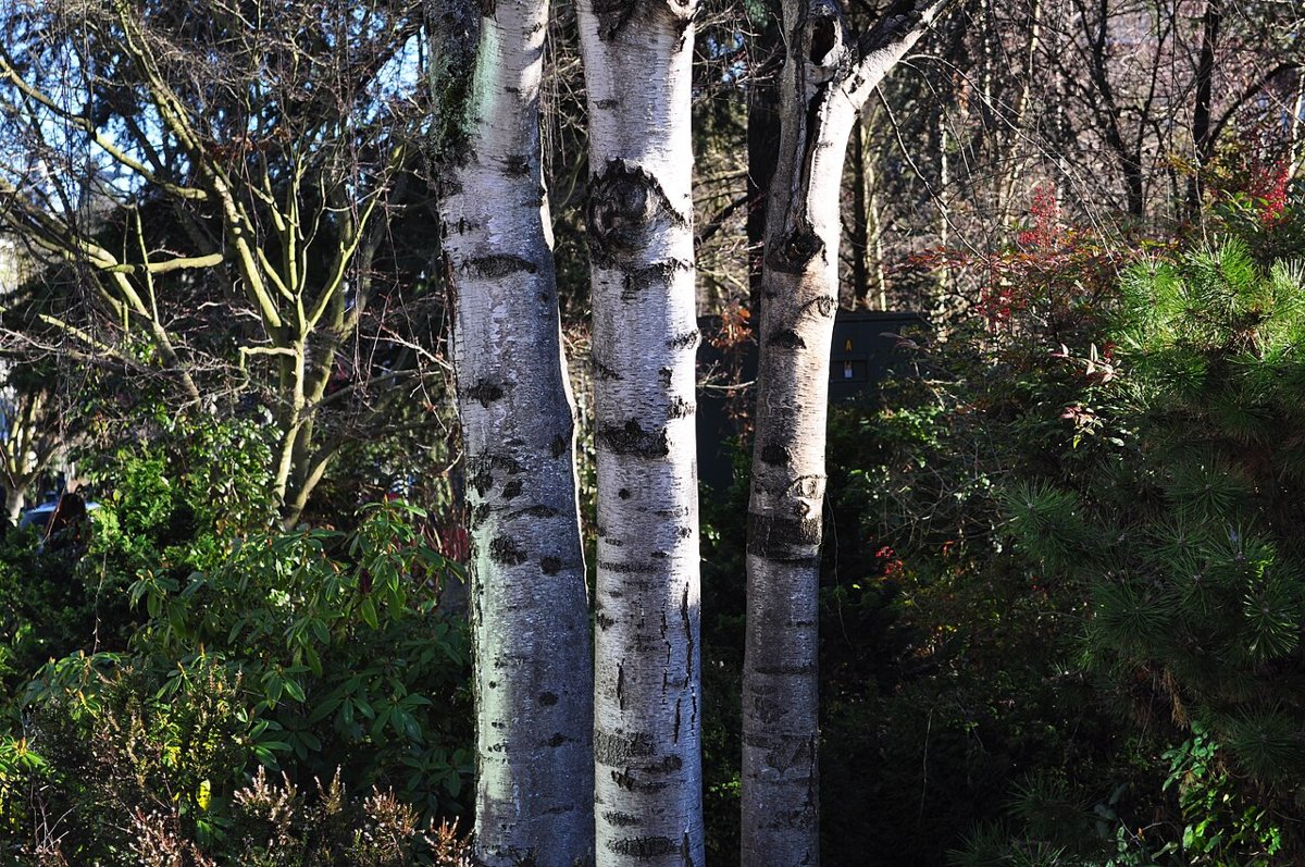 Seattle U - Lee Center for the Arts 01