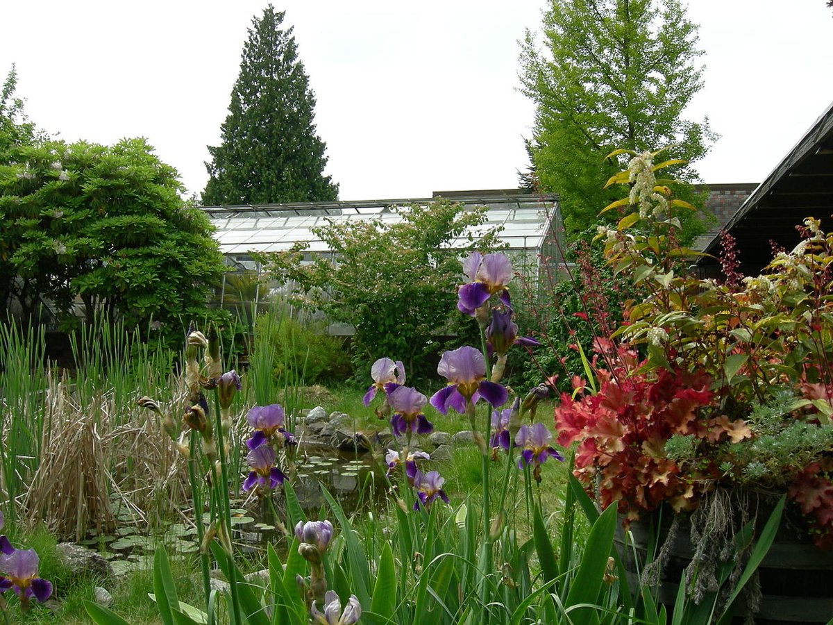 Shoreline Community College campus