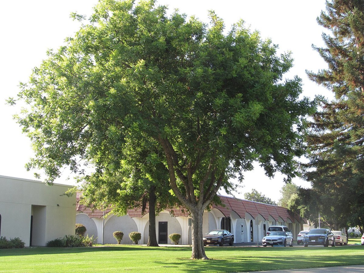 Solano Community College Thurston Center lobby