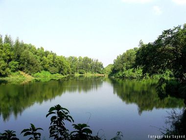 Student Services Back