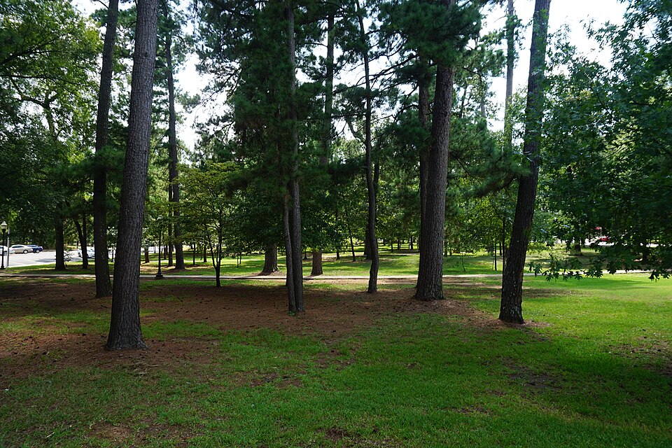 Stephen F. Austin State University August 2017 04