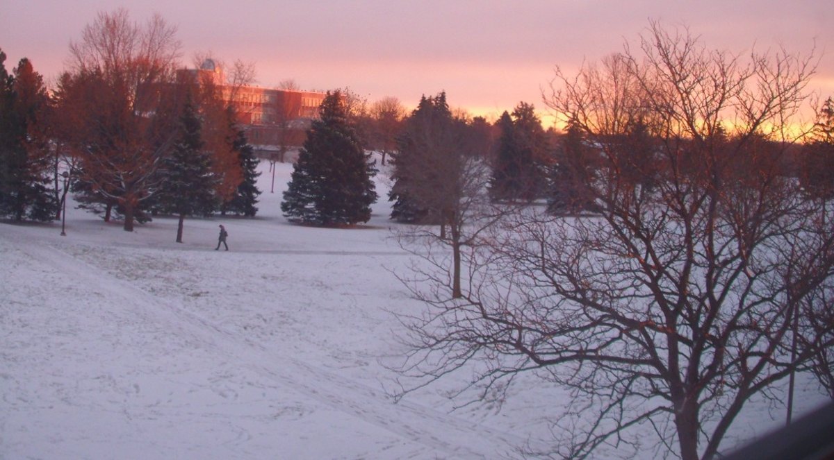 Taylor Winter Panorama 2