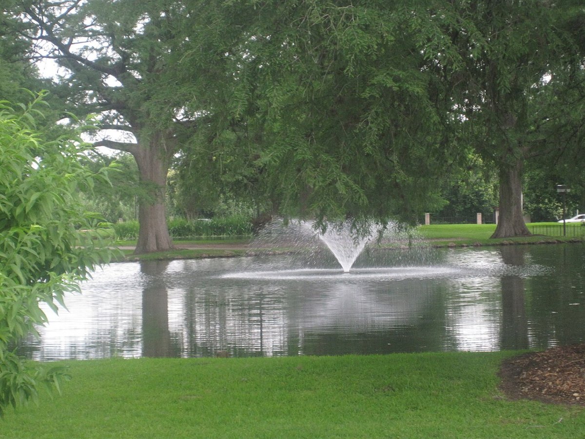 37 Lyndon Johnson 3x4