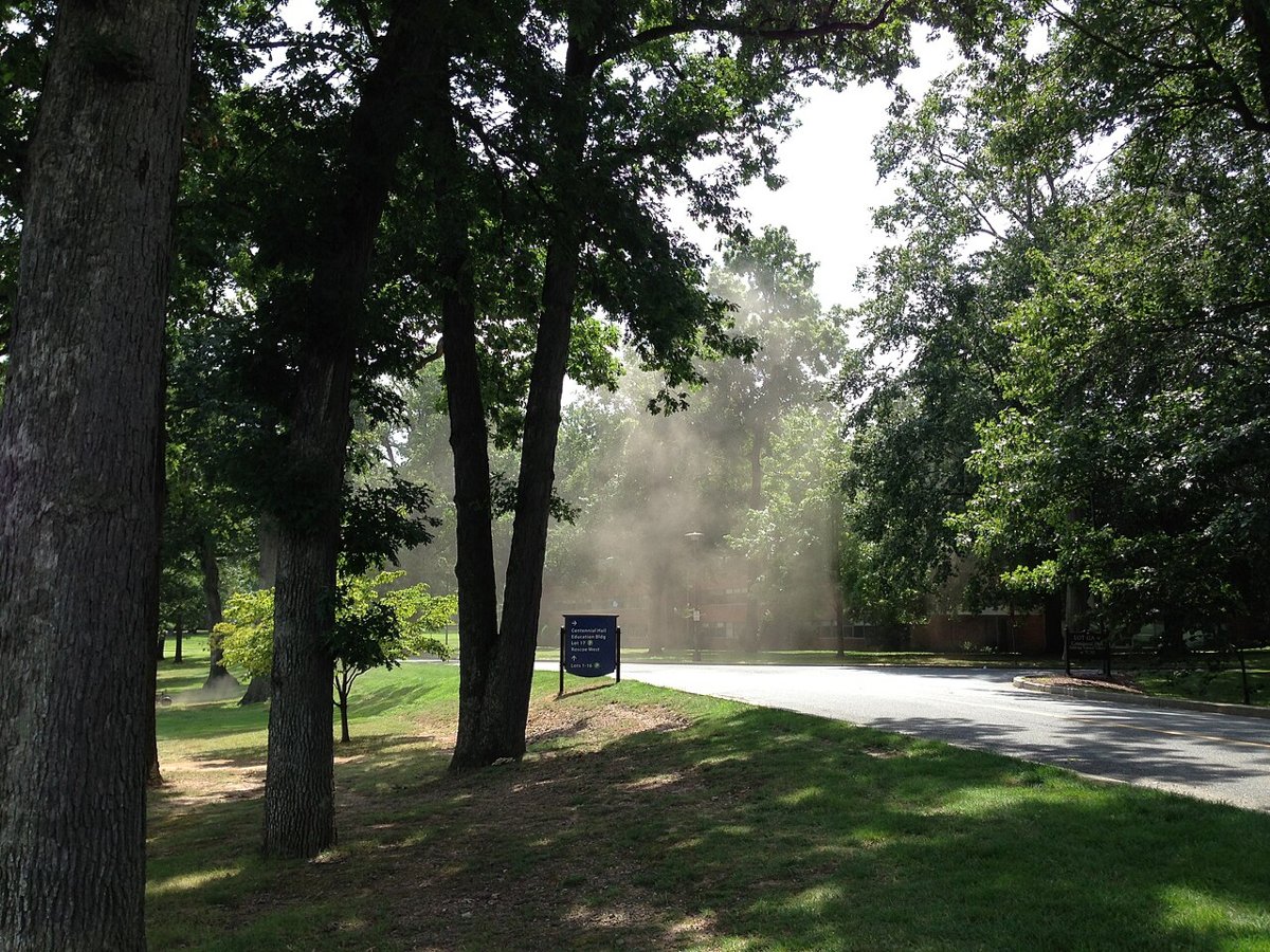 The College of New Jersey (TCNJ) 40