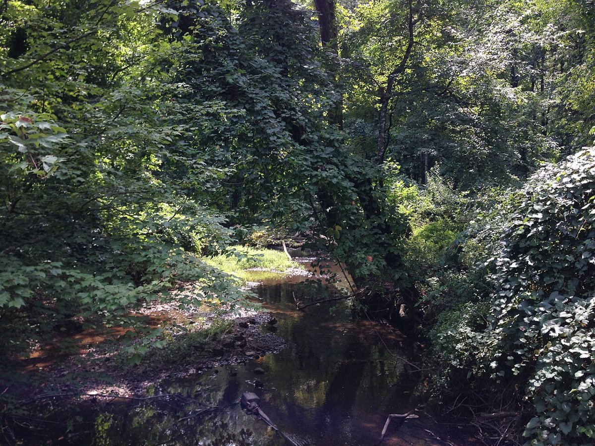 The College of New Jersey (TCNJ) 3