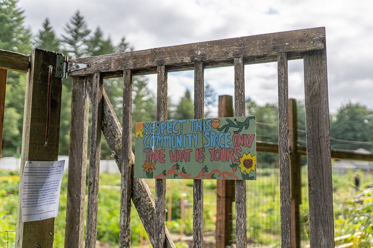 The Evergreen State College