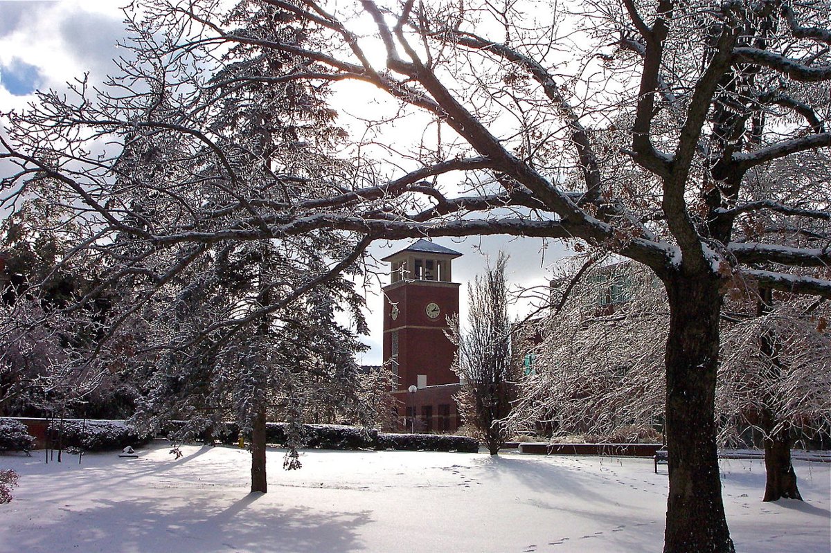 Joseph Baldwin statue