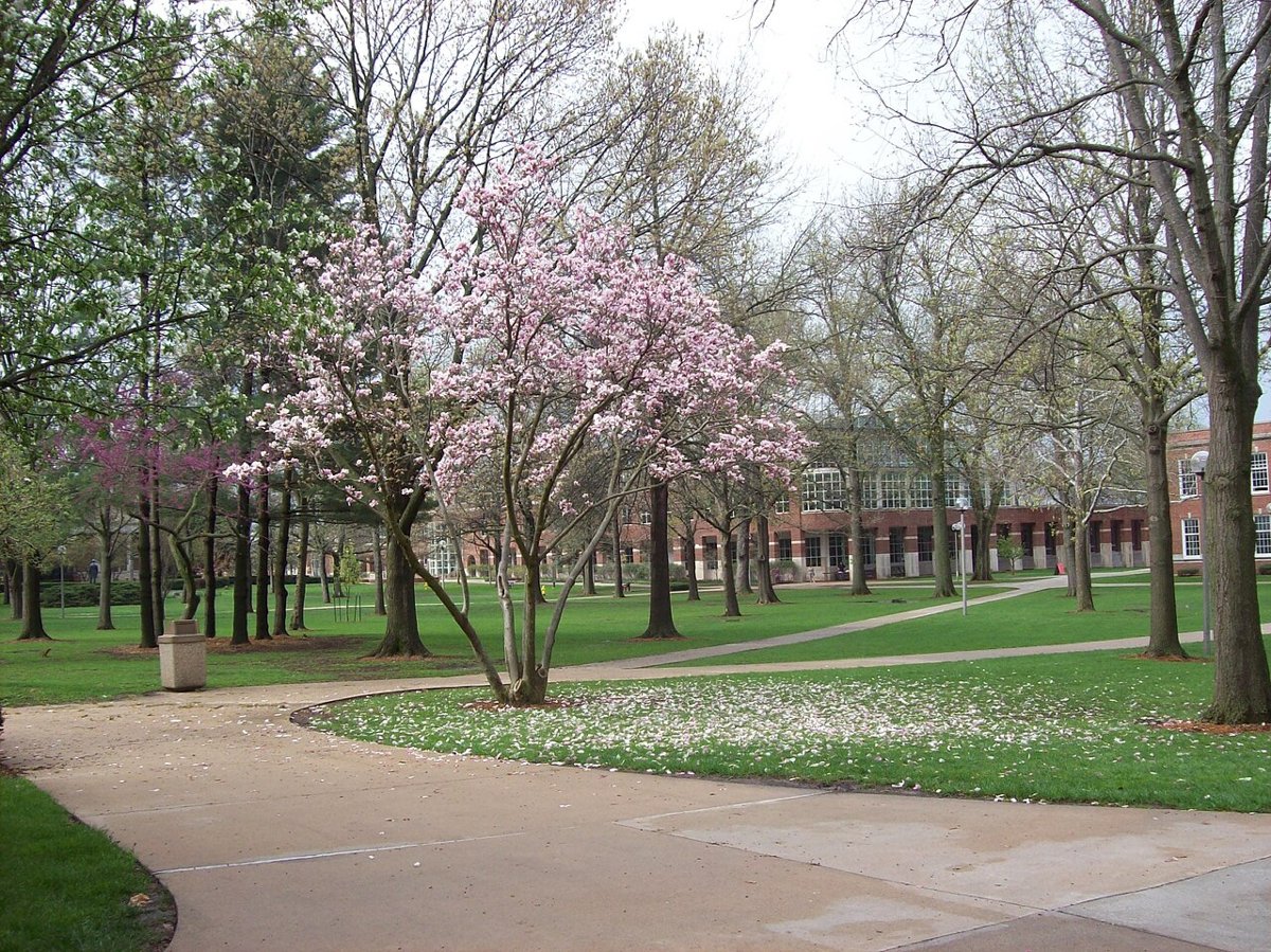 Truman quad spring