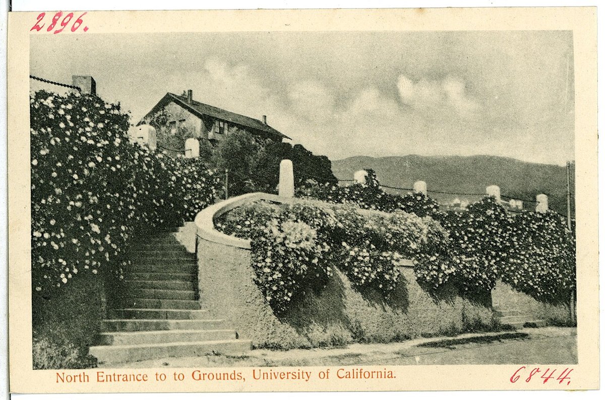 Crown College Residences