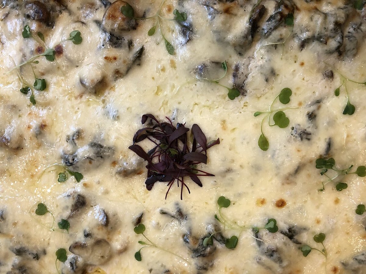 Lodewijk van den Berg