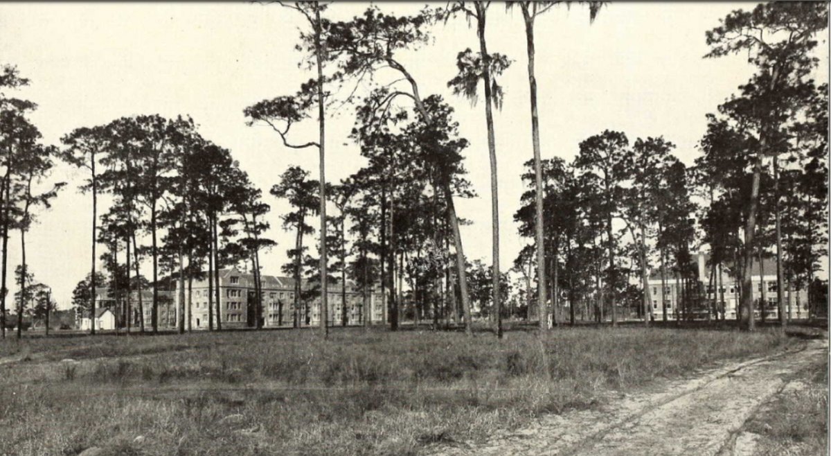 University of Florida-Online campus