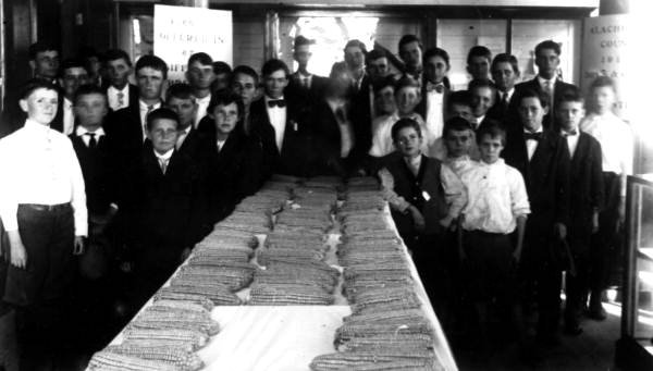 University of Florida-Online campus