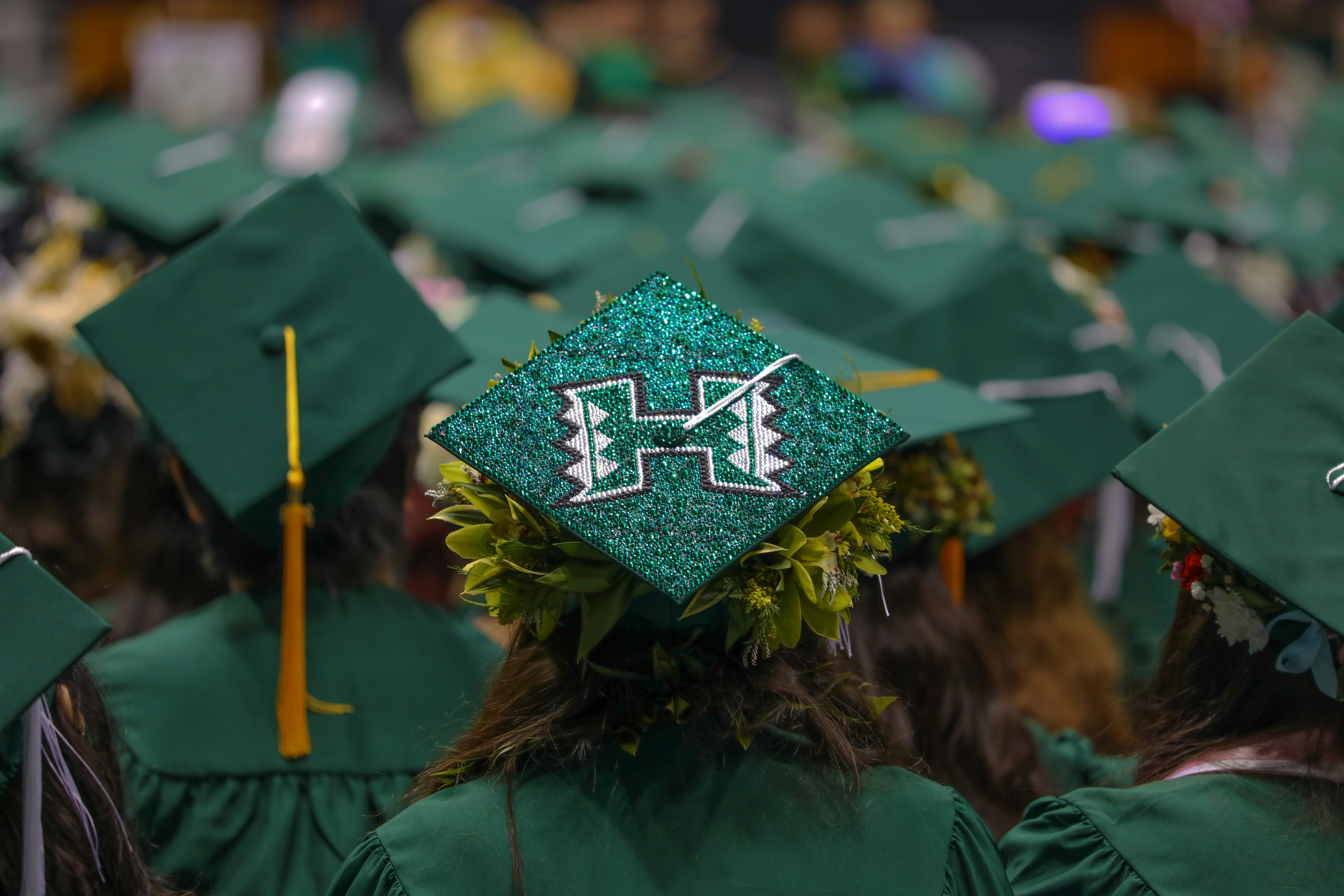 Dean Hall, University of Hawaiʻi
