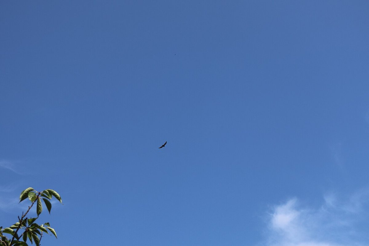 University of North Carolina Wilmington Main Campus (15 August 2023) 176