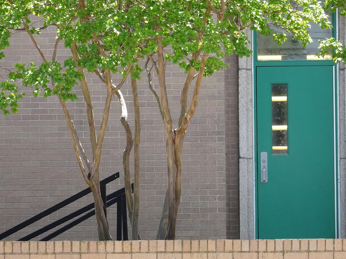 UNT Performing Arts Center