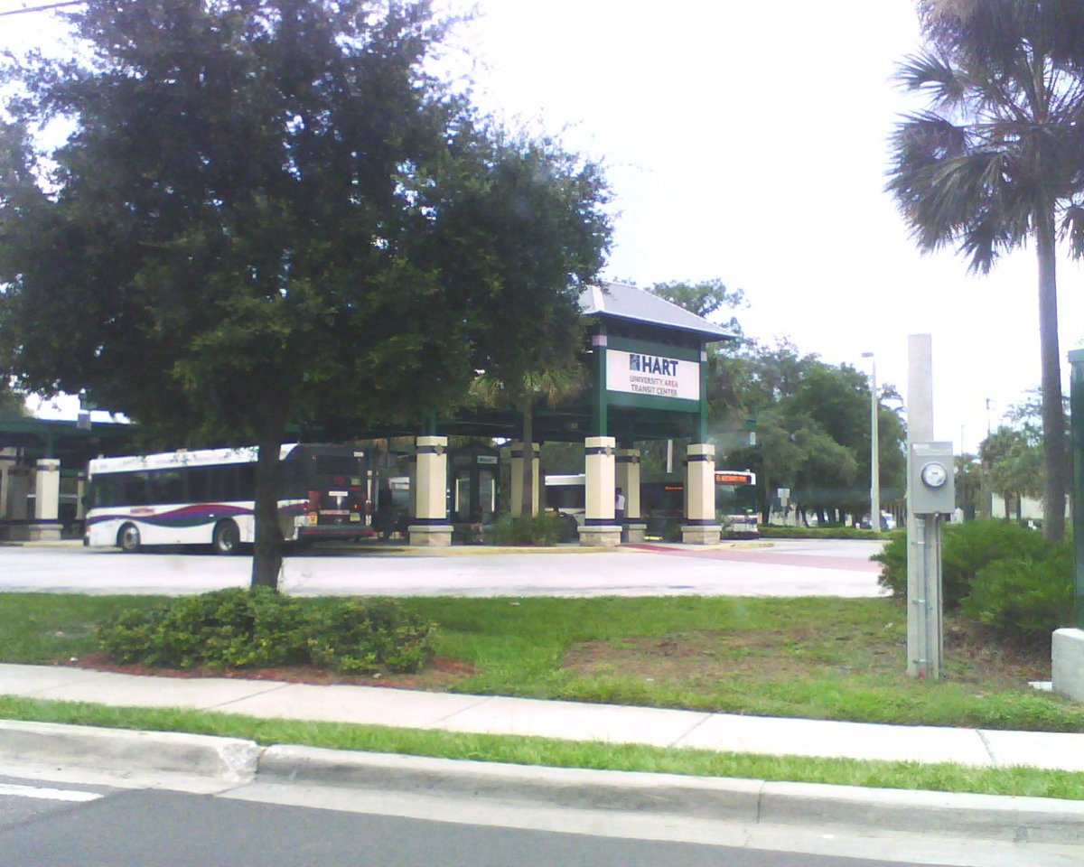 Watertower usf tampa