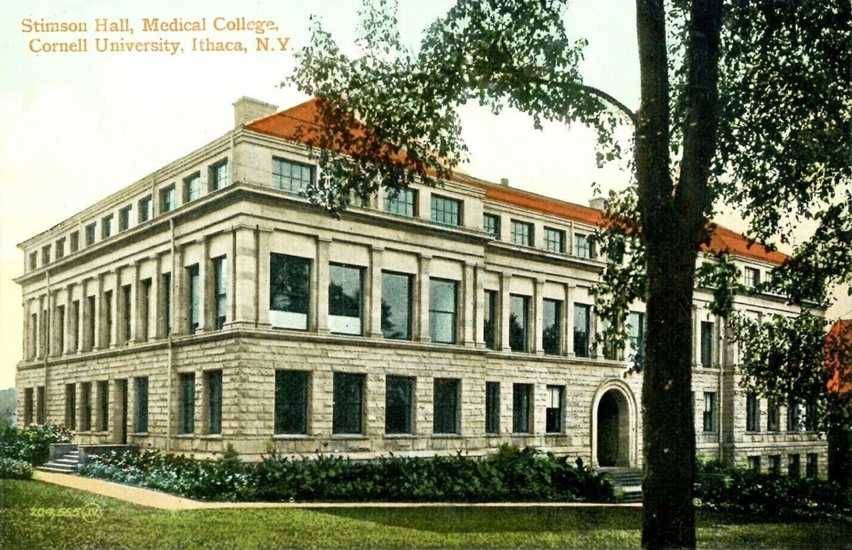 Weill Medical College of Cornell University campus