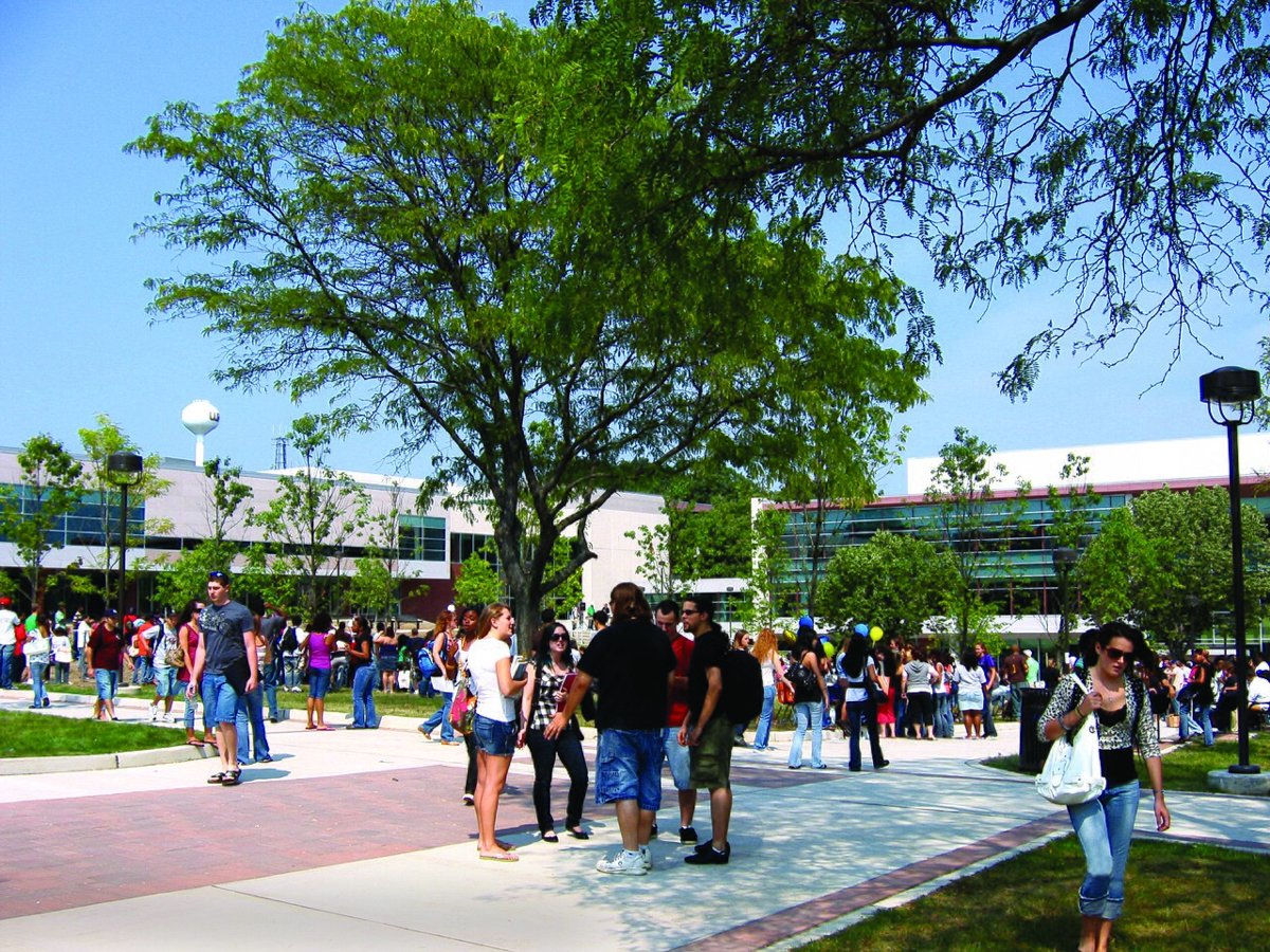 Ailsa Farms Hobart Manor