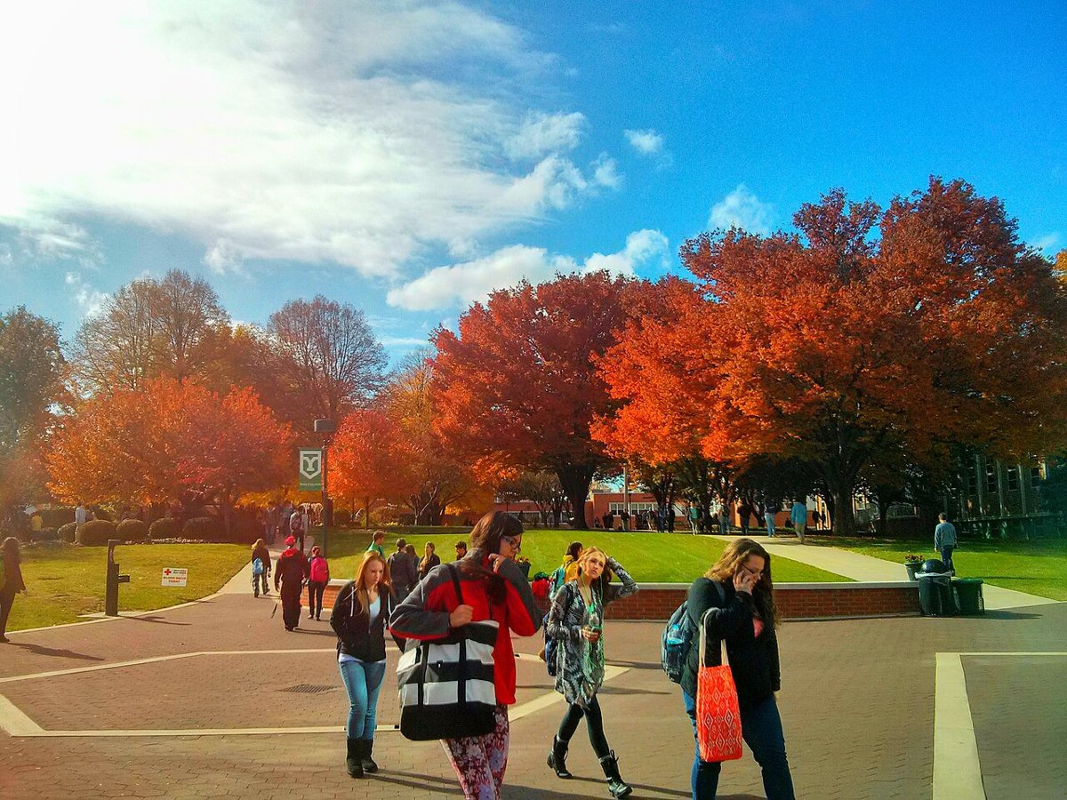 Fortieth Annual Catalogue of the York Collegiate Institute